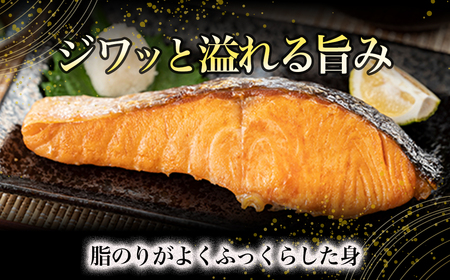 【真空冷凍】 関金サーモン ふり塩切り身 1.440g(60g×24切れ) マス 鮭 サーモン