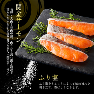 【1切れずつ真空冷凍】 関金サーモン ふり塩切り身 480g（60g×8切れ） マス 鮭 サーモン