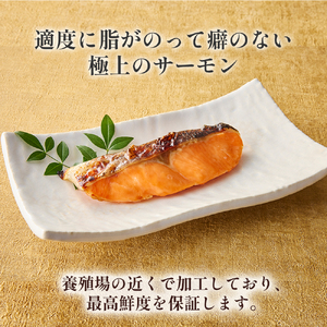 【1切れずつ真空冷凍】 関金サーモン ふり塩切り身 480g（60g×8切れ） マス 鮭 サーモン