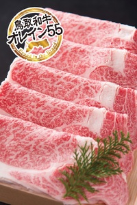 鳥取和牛 最上級A5ランク オレイン５５ リブローススライス 大 （約500g） 国産 牛肉 黒毛和牛