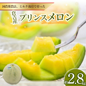 プリンスメロン【倉吉産】 約2.8kg （2026） メロン プリンスメロン フルーツ 果物