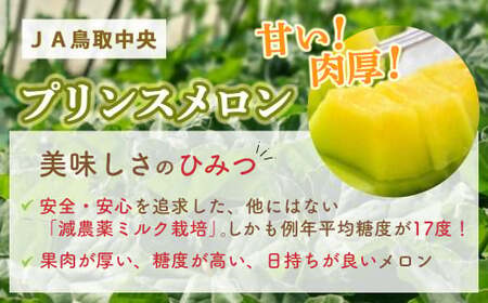 プリンスメロン【倉吉産】 約2.8kg （2026） メロン プリンスメロン フルーツ 果物
