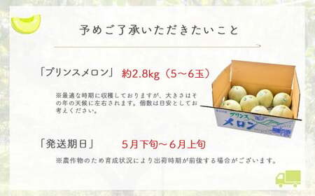 プリンスメロン【倉吉産】 約2.8kg （2026） メロン プリンスメロン フルーツ 果物