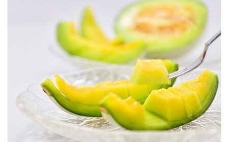 プリンスメロン【倉吉産】 約2.8kg （2026） メロン プリンスメロン フルーツ 果物