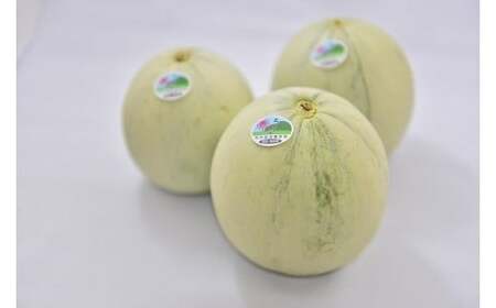 プリンスメロン【倉吉産】 約2.8kg （2026） メロン プリンスメロン フルーツ 果物