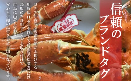 【魚倉】 タグ付きボイル松葉ガニ（中650g） 松葉ガニ タグ付き松葉ガニ ボイル松葉ガニ かに カニ 蟹 ズワイガニ ずわいがに