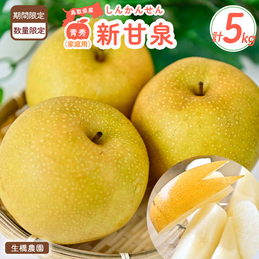 鳥取県だけで作られている幻の梨 新甘泉【鳥取県産】（家庭用）５kg（生橋農園） 青秀 梨 果物 フルーツ