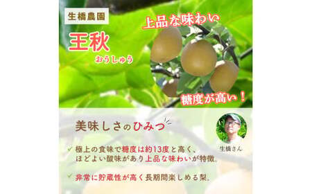 王秋 10kg（生橋農園） 鳥取県産 梨 フルーツ