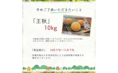 王秋 10kg（生橋農園） 鳥取県産 梨 フルーツ