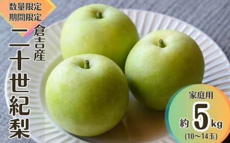 【先行予約】【令和8年産】家庭用 二十世紀梨 5kg（10～16玉） 梨 果物 フルーツ 和梨  20世紀梨