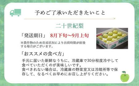 【先行予約】【令和8年産】家庭用 二十世紀梨 5kg（10～16玉） 梨 果物 フルーツ 和梨  20世紀梨