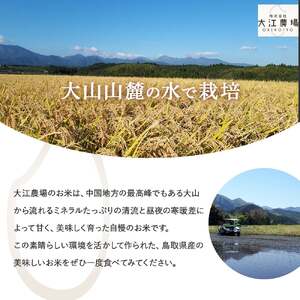 ※3月配送分【令和7産米】倉吉市産 コシヒカリ 10kg（5kg×2袋）大江農場 数量限定