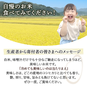 【令和7年産】 コシヒカリ 玄米 20kg