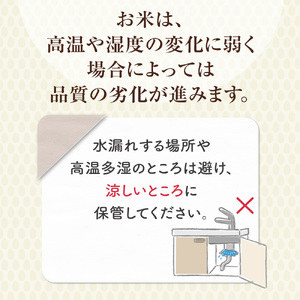 【令和7年産】 コシヒカリ 玄米 20kg