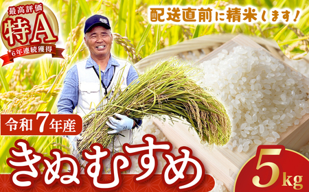 【在庫限定】令和7年産米 きぬむすめ 5kg （大上農園）数量限定 お米 こめ 白米 きぬむすめ
