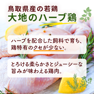 【鳥取県産 大地のハーブ鶏】 スパイスチキン 焼肉 500g KC236 砂肝 鶏肉 チキン