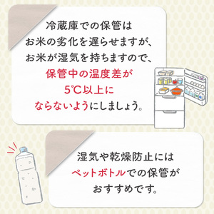 【数量限定】【令和7年産米】鳥取県産星空舞（2kg）パールライス 令和7年産米