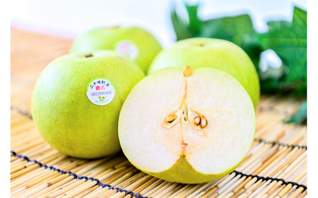 二十世紀梨 【倉吉産】5kg(JA鳥取中央) 梨 果物 フルーツ