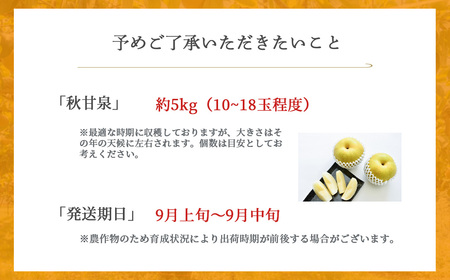 秋甘泉 (5kg)【倉吉産】 梨 和梨 果物 フルーツ