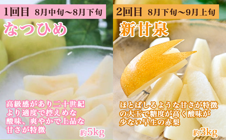 【先行予約】梨王国2025 旬の梨食べ比べ 全6回 定期便 合計約28kg（鳥取県産）梨 なし 和梨 先行予約 数量限定 定期便 フルーツ 果物 季節の果物 季節のフルーツ なつひめ 新甘泉 二十世紀梨 秋甘泉 王秋 あたご梨 食べ比べ 20世紀梨