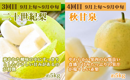【先行予約】梨王国2025 旬の梨食べ比べ 全6回 定期便 合計約28kg（鳥取県産）梨 なし 和梨 先行予約 数量限定 定期便 フルーツ 果物 季節の果物 季節のフルーツ なつひめ 新甘泉 二十世紀梨 秋甘泉 王秋 あたご梨 食べ比べ 20世紀梨