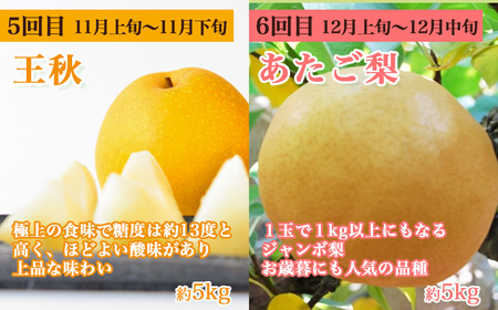 【先行予約】梨王国2025 旬の梨食べ比べ 全6回 定期便 合計約28kg（鳥取県産）梨 なし 和梨 先行予約 数量限定 定期便 フルーツ 果物 季節の果物 季節のフルーツ なつひめ 新甘泉 二十世紀梨 秋甘泉 王秋 あたご梨 食べ比べ 20世紀梨