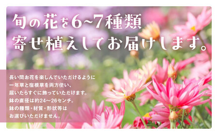 季節の寄せ植え L ギフト寄せ植え 贈答用寄せ植え 母の日 誕生日 記念日 ギフトラッピング可！