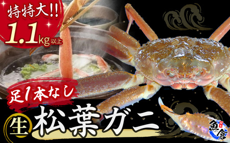 ふるさと納税 鳥取市 松葉ガニ 特大サイズ 約900g〜1kg タグ付(茹で) 特選松葉ガニ 特大サイズ 約900g～1kg タグ付(茹で): 鳥取市ANAの