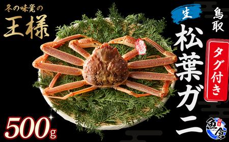 【松葉ガニ/3月上旬までの受付】【魚倉】 タグ付き生松葉ガニ （500g） ズワイガニ 鮮度抜群