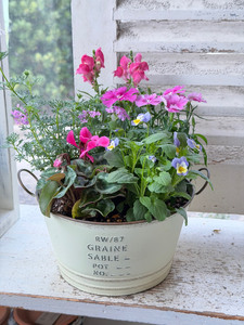 季節の寄せ植え M（4〜6種類）ギフト 贈答用 寄せ植え 母の日 誕生日 記念日 ギフトラッピング可！