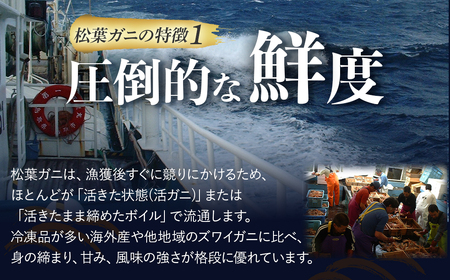 【松葉ガニ/3月上旬までの受付】【魚倉】ボイル若松葉ガニ 4尾分8肩（足１～２本なし含む） 