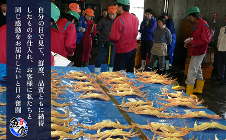 【松葉ガニ/3月上旬までの受付】【魚倉】（ボイル）不揃いサイズ 訳ありたっぷり 1kgセット ズワイガニ 国産 訳あり 鳥取県 倉吉市