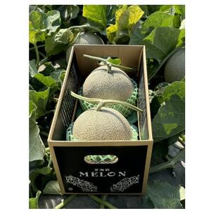 【北海道産】赤肉メロン 「くんねっぷメロン」2玉 (1玉あたり1.6kg以上)〈農家直送〉【配送不可地域：離島・沖縄県】【1516196】