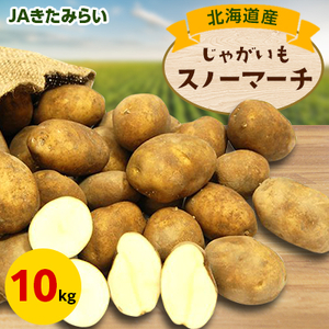 JAきたみらい スノーマーチ(いも) 10kg【1292796】