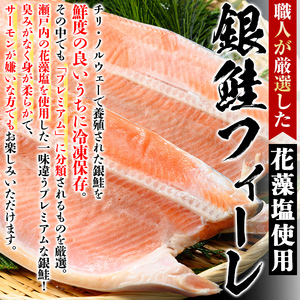 冷凍 定塩銀鮭フィーレ(計2.3kg・2枚入) 魚 魚介 海鮮 サケ さけ しゃけ サーモン 切り身 切身 フィレ 冷凍 小分け【sm-AC006】【大昇食品】