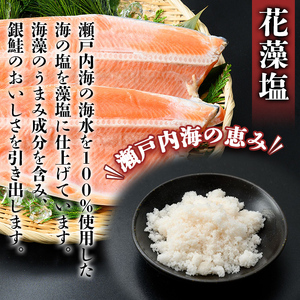 冷凍 定塩銀鮭フィーレ(計2.3kg・2枚入) 魚 魚介 海鮮 サケ さけ しゃけ サーモン 切り身 切身 フィレ 冷凍 小分け【sm-AC006】【大昇食品】