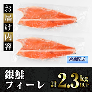 冷凍 定塩銀鮭フィーレ(計2.3kg・2枚入) 魚 魚介 海鮮 サケ さけ しゃけ サーモン 切り身 切身 フィレ 冷凍 小分け【sm-AC006】【大昇食品】