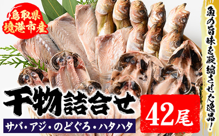 前浜干物セットC(計2kg) 干物 ひもの 魚介類 魚 サバ カレイ のどぐろ ハタ あじ アジ セット 詰め合わせ おかず おつまみ 開き フィレ フィーレ 個包装 冷凍【sm-AH002】【大海】