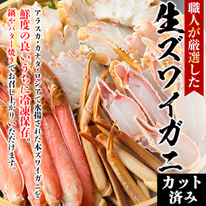 ＜数量限定＞冷凍カット済み！生ずわいがに(計1kg) 魚介 海鮮 カニ かに 蟹 ずわいがに 生 雑炊 鍋 冷凍【sm-AC004】【大昇食品】