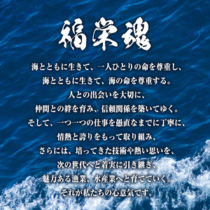 網元直伝の漁師飯！いか醤油漬けセット(計700g・70g×10P) 国産 地魚 魚介 海鮮 醤油漬け 海の幸 おつまみ いか イカ ごはんのお供 冷凍【sm-AJ002】【福栄】