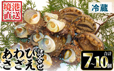 ＜土日祝着＞＜先行予約受付中！1月上旬～2月上旬頃順次配送＞あわび・さざえ詰合せ(2種)国産 鳥取県 境港市 海鮮 新鮮 生食 冷蔵 活魚介 魚貝類 アワビ 鮑 サザエ 栄螺 食べ比べ【sm-AA002-B】【いたくら】