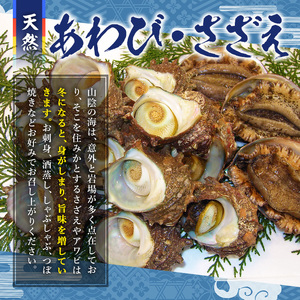 ＜土日祝着＞＜先行予約受付中！1月上旬～2月上旬頃順次配送＞あわび・さざえ詰合せ(2種)国産 鳥取県 境港市 海鮮 新鮮 生食 冷蔵 活魚介 魚貝類 アワビ 鮑 サザエ 栄螺 食べ比べ【sm-AA002-B】【いたくら】
