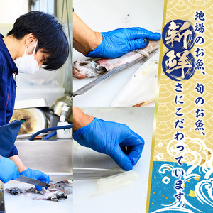 こだわりの一夜干詰合せ(4～5種類)国産 魚介 お魚 さかな 干物 干し物 白身 海の幸 旬 セット 詰合わせ 直送 冷凍 おかず おつまみ お土産【sm-AA004】【いたくら】