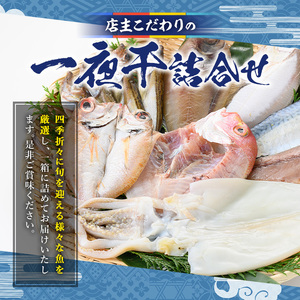 こだわりの一夜干詰合せ(4～5種類)国産 魚介 お魚 さかな 干物 干し物 白身 海の幸 旬 セット 詰合わせ 直送 冷凍 おかず おつまみ お土産【sm-AA004】【いたくら】