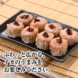 化粧箱入り！イカ屋が作ったイカたっぷり焼売セット(計24個・8個入×3セット)国産 地魚 魚介 海鮮 アカイカ ホタルイカ ゲソ すり身 シュウマイ 蒸し料理 海の幸 冷凍 化粧箱【sm-AJ001】【福栄】