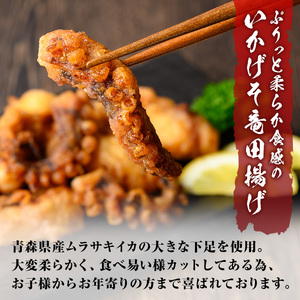 いか イカ 2種 計850g セット 簡単調理 冷凍 sm-AJ005 福栄