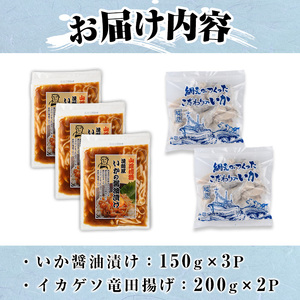 いか イカ 2種 計850g セット 簡単調理 冷凍 sm-AJ005 福栄