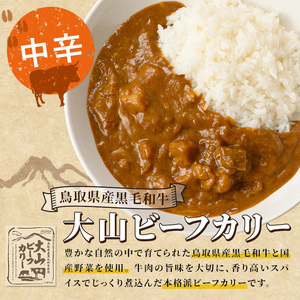 大山カリーセット(2種・計6個)鳥取県 境港市 カレーライス カレー ビーフカレー ビーフカリー チキンカレー チキンカリー 黒毛和牛 大山どり 鶏 鳥 ブランド鶏 本格 本格派 レトルト 国産 野菜【sm-AU001】【鳥取缶詰】