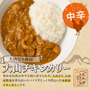大山カリーセット(2種・計6個)鳥取県 境港市 カレーライス カレー ビーフカレー ビーフカリー チキンカレー チキンカリー 黒毛和牛 大山どり 鶏 鳥 ブランド鶏 本格 本格派 レトルト 国産 野菜【sm-AU001】【鳥取缶詰】