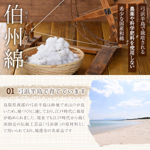 伯州綿ネックレス シルバー×茶(伯州綿色)ネックレス 鳥取県 境港市 伯州綿 ネックレス アクセサリー ガラス ガラスドーム ファッション 小物 雑貨【sm-BC004-D】【浜っ子】